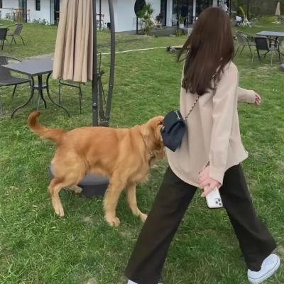 巧克力与香子兰