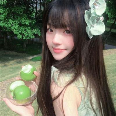 白色酢浆草